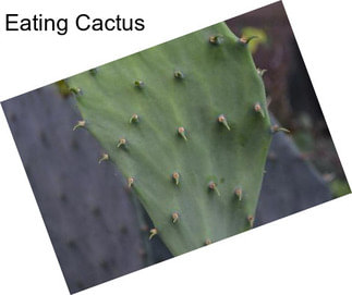 Eating Cactus