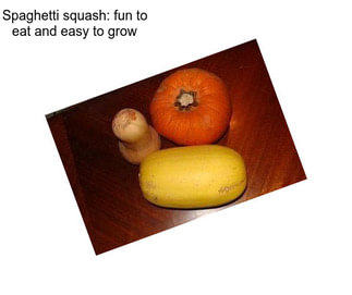 Spaghetti squash: fun to eat and easy to grow