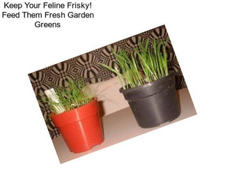 Keep Your Feline Frisky! Feed Them Fresh Garden Greens