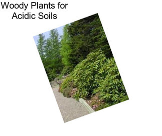 Woody Plants for Acidic Soils