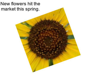 New flowers hit the market this spring.