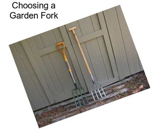 Choosing a Garden Fork