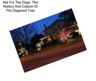 Not For The Dogs: The History And Culture Of The Dogwood Tree