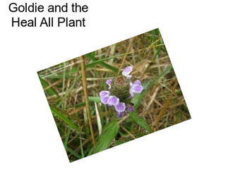 Goldie and the Heal All Plant