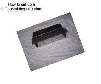 How to set-up a self-sustaining aquarium