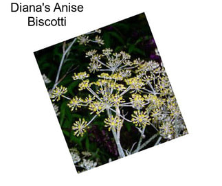 Diana\'s Anise Biscotti