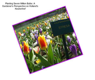 Planting Seven Million Bulbs: A Gardener\'s Perspective on Holland\'s Keukenhof