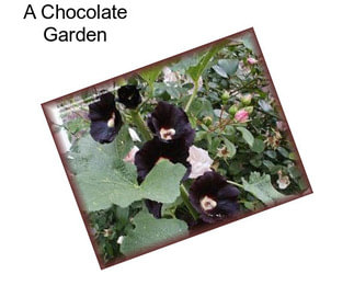A Chocolate Garden