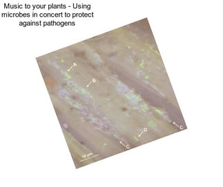 Music to your plants - Using microbes in concert to protect against pathogens