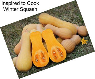 Inspired to Cook Winter Squash