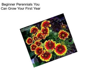 Beginner Perennials You Can Grow Your First Year