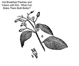 Hot Breakfast Pastries and Tubers with Rot - What Can Make Them Both Better?