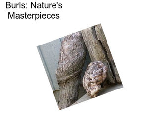 Burls: Nature\'s Masterpieces