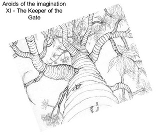 Aroids of the imagination XI - The Keeper of the Gate