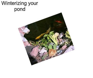 Winterizing your pond