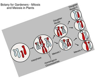 Botany for Gardeners - Mitosis and Meiosis in Plants