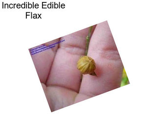 Incredible Edible Flax