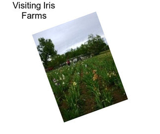 Visiting Iris Farms