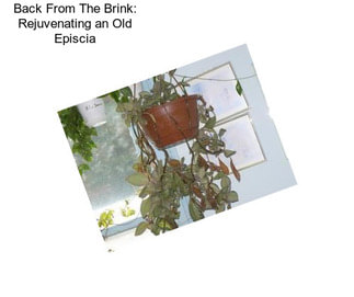 Back From The Brink: Rejuvenating an Old Episcia