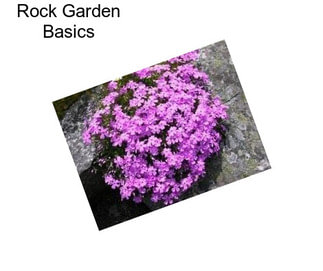 Rock Garden Basics