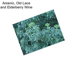 Arsenic, Old Lace and Elderberry Wine