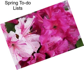 Spring To-do Lists