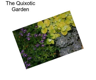 The Quixotic Garden