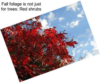 Fall foliage is not just for trees: \