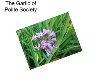 The Garlic of Polite Society