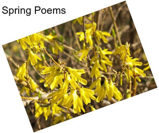 Spring Poems