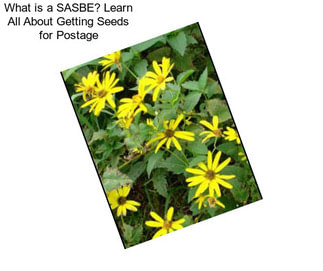 What is a SASBE? Learn All About Getting Seeds for Postage