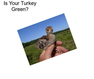 Is Your Turkey Green?
