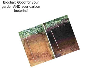 Biochar: Good for your garden AND your carbon footprint!