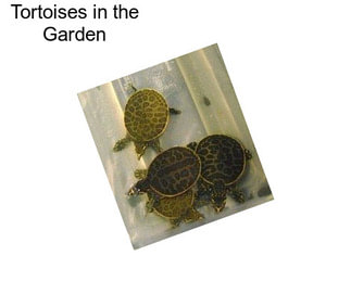 Tortoises in the Garden