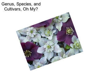 Genus, Species, and Cultivars, Oh My?