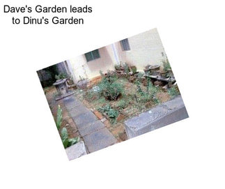 Dave\'s Garden leads to Dinu\'s Garden