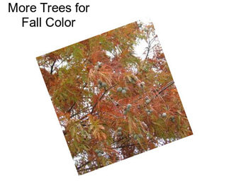 More Trees for Fall Color