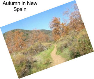 Autumn in New Spain
