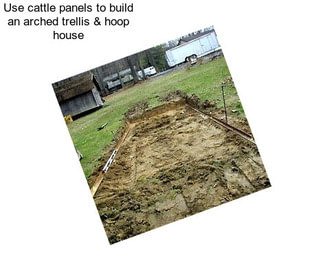 Use cattle panels to build an arched trellis & hoop house