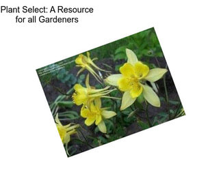 Plant Select: A Resource for all Gardeners