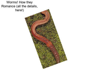 Worms! How they Romance (all the details, here!)