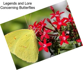 Legends and Lore Concerning Butterflies