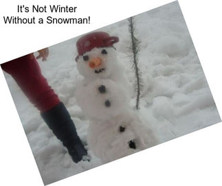 It\'s Not Winter Without a Snowman!