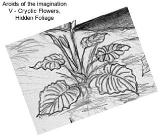 Aroids of the imagination V - Cryptic Flowers, Hidden Foliage