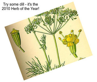 Try some dill - it\'s the 2010 Herb of the Year!