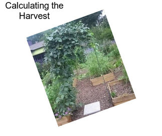 Calculating the Harvest