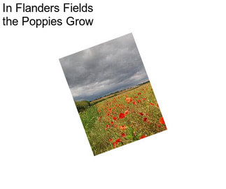 In Flanders Fields the Poppies Grow