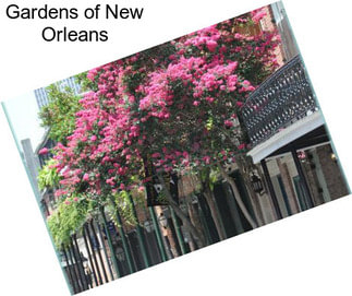 Gardens of New Orleans