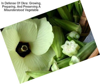 In Defense Of Okra: Growing, Preparing, And Preserving A Misunderstood Vegetable