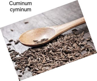 Cuminum cyminum